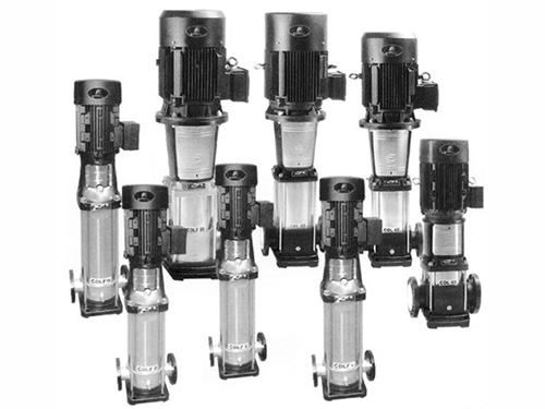 1769241736124658.jpg 0a6c0220-7b05-415b-8683-7b9d8b99169f.jpg