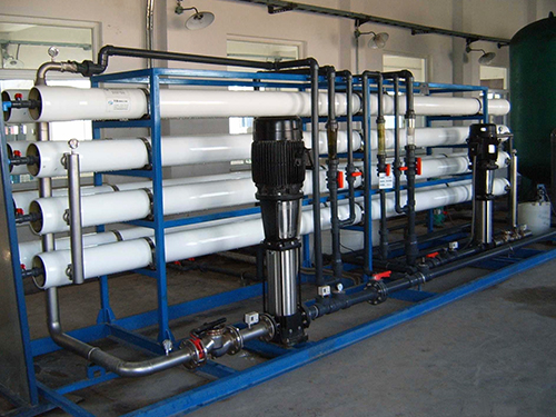 1769248867135323.jpg 3254bc65-e52f-4b44-a859-2749a0c91bb9.jpg